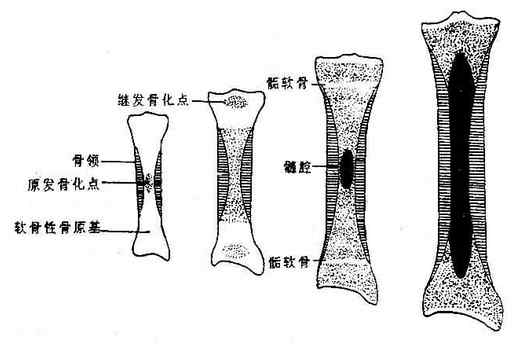 ���ǵķ���ģʽͼ