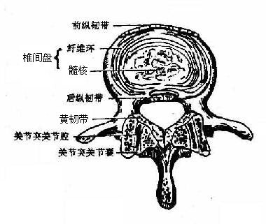 ׵���̺͹ؽ�ͻ�ؽ�