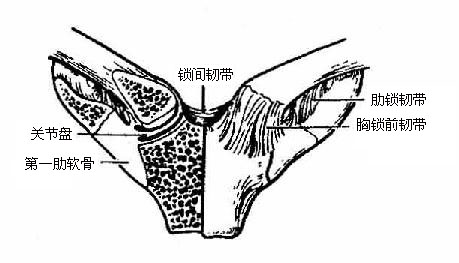 �����ؽ�