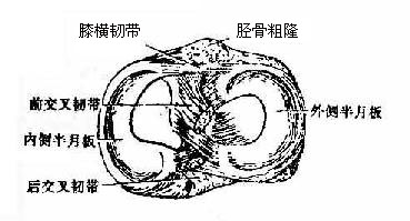 ϥ�ؽڰ��°壨���棩