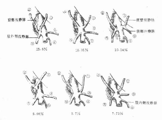 ������������֧���ͣ��Ҳࣩ