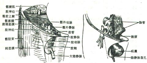 ���ʡ�����