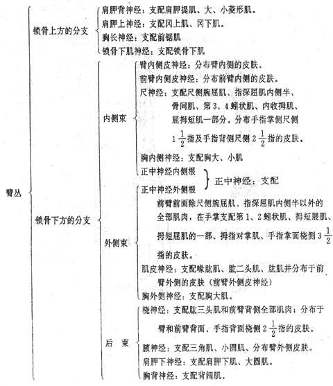 ��֫����