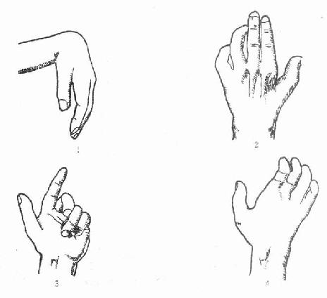 �㡢�ߡ����������˺������