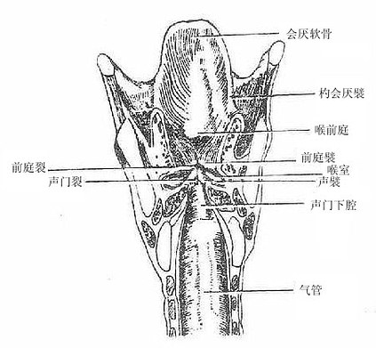 ��ǻ��״����