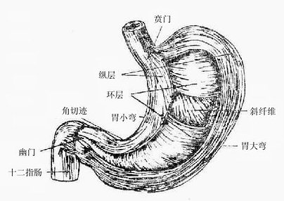 θ�ļ���