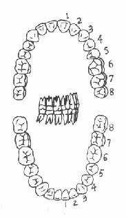 ����32��