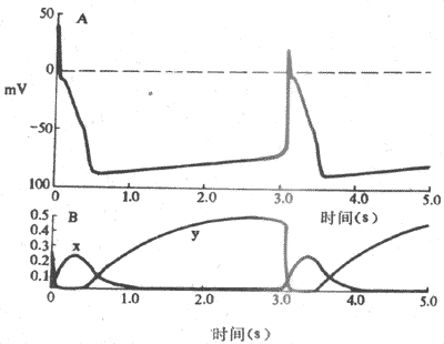 �ֿ�Ұϸ���𲫻���