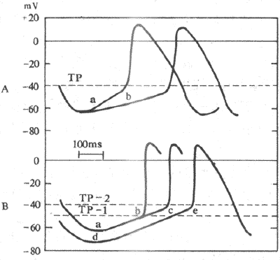 Ӱ�������Ե�����