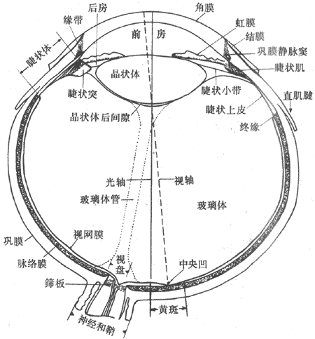 �����ˮƽ���棨���ۣ�