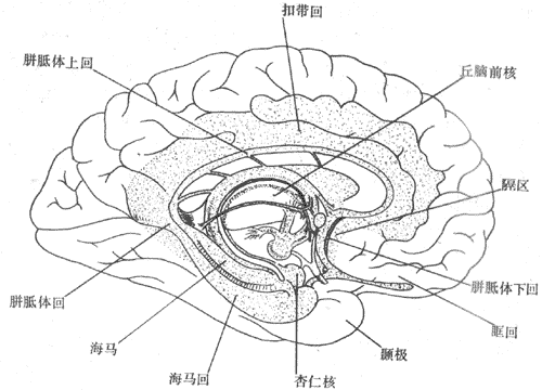 �����ڲ���ʾ��Եϵͳ����λ