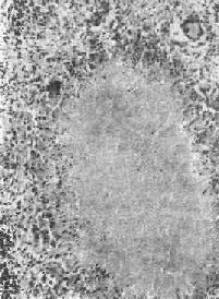 �����Ի���