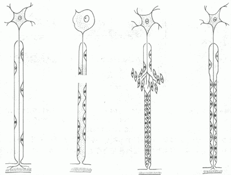 ����ά����ģʽͼ