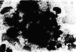 ������Ǵ�����ϸ����