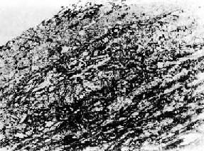 ��չ�е���ά�����߿�