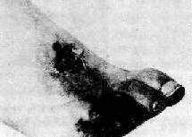 ����ֺ����