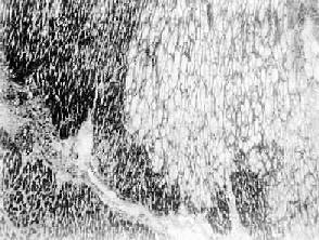 �ļ�����