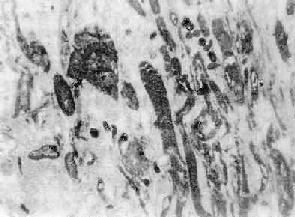 �ļ�����