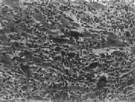 �ط��Ծ�ϸ�����ļ���