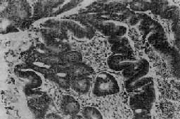 ������״ϸ����<a href=