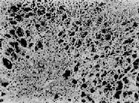 �������͸���