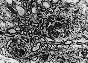 ����������С������