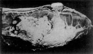 ����<a href=