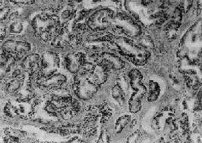 ǰ����<a href=