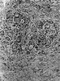 ��ά�Լ�״����