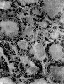 ��״����������<a href=