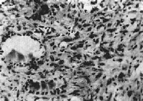 ��״��δ�ֻ�<a href=