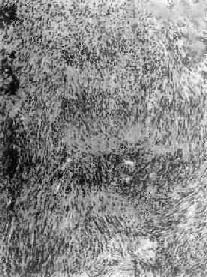 ����<a href=