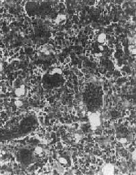 �Ǿ�ϸ��<a href=