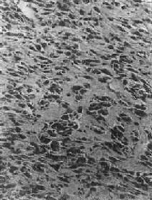 ����<a href=