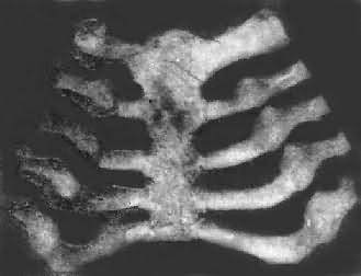 ���Ͳ����߹�