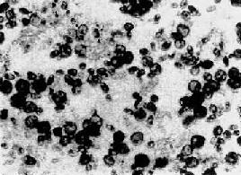 θ�������