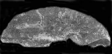 �λ�֧غ���没