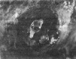 ʵ���Թ�����������֮����