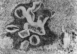 ˿�����ܰ͹���