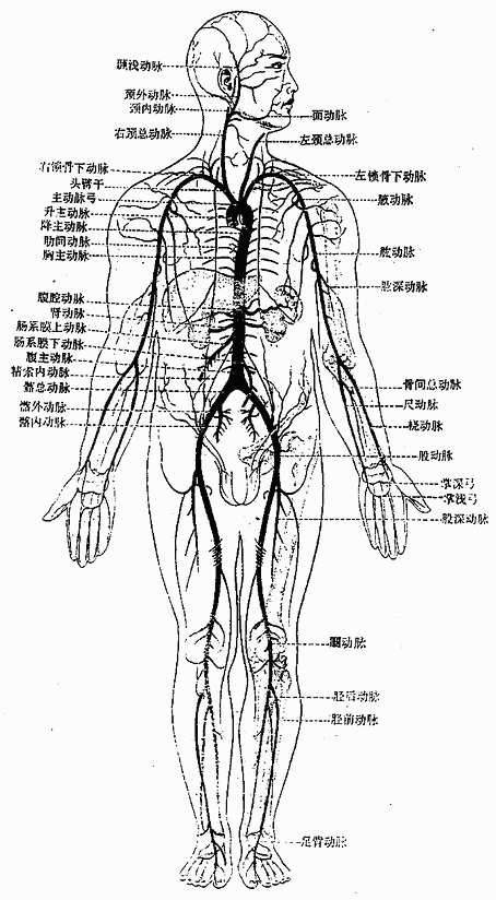 �����������岿����Ҫ����