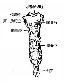 �عǣ�ǰ�棩