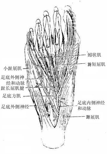 ��׵ڶ��㼡����