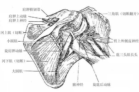 ���Ǽ����ͼ�����