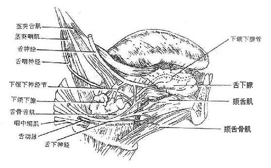 �������������