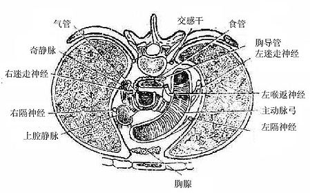 ���ݸ� ��ƽ��4��׵����棩�����