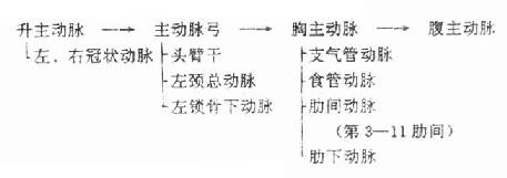 ��ѭ���Ķ����ɼ����֧