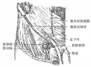 ����б����Ĥ