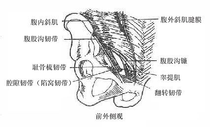 ���ɹ������ʹ�