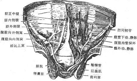 ��ǰ���������ں���