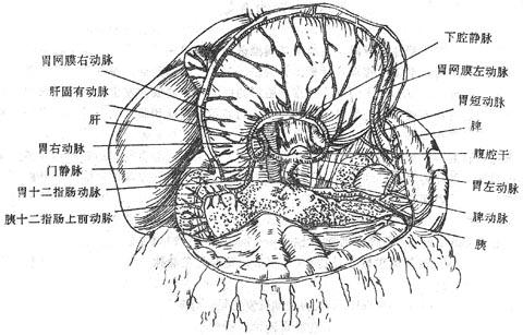 ��ǻ�ɼ����֧